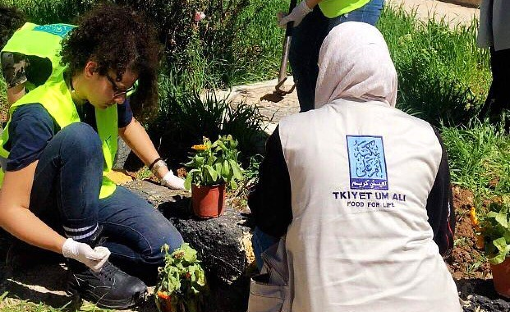 برنامج زراعة الحدائق